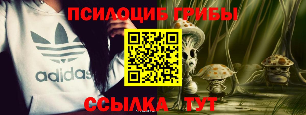 Барабинск  Псилоцибиновые грибы Psilocybe  Псилоцибиновые грибы Magic Shrooms  Вход с VPN 